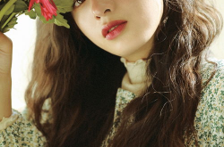 韩系花卉写真,韩系花卉写真里的自然美学