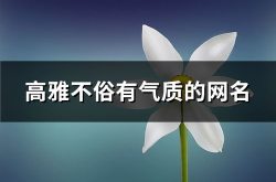 高雅不俗的网名,探寻高雅不俗的个性之美