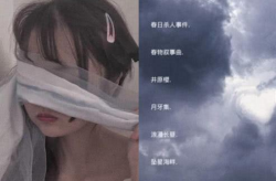 好听不俗的网名,探寻好听不俗的网名魅力