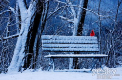 白色圣诞雪景写真,梦幻白色圣诞雪景写真集