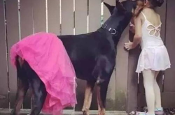 杜宾犬和女生写真,温馨治愈的视觉盛宴